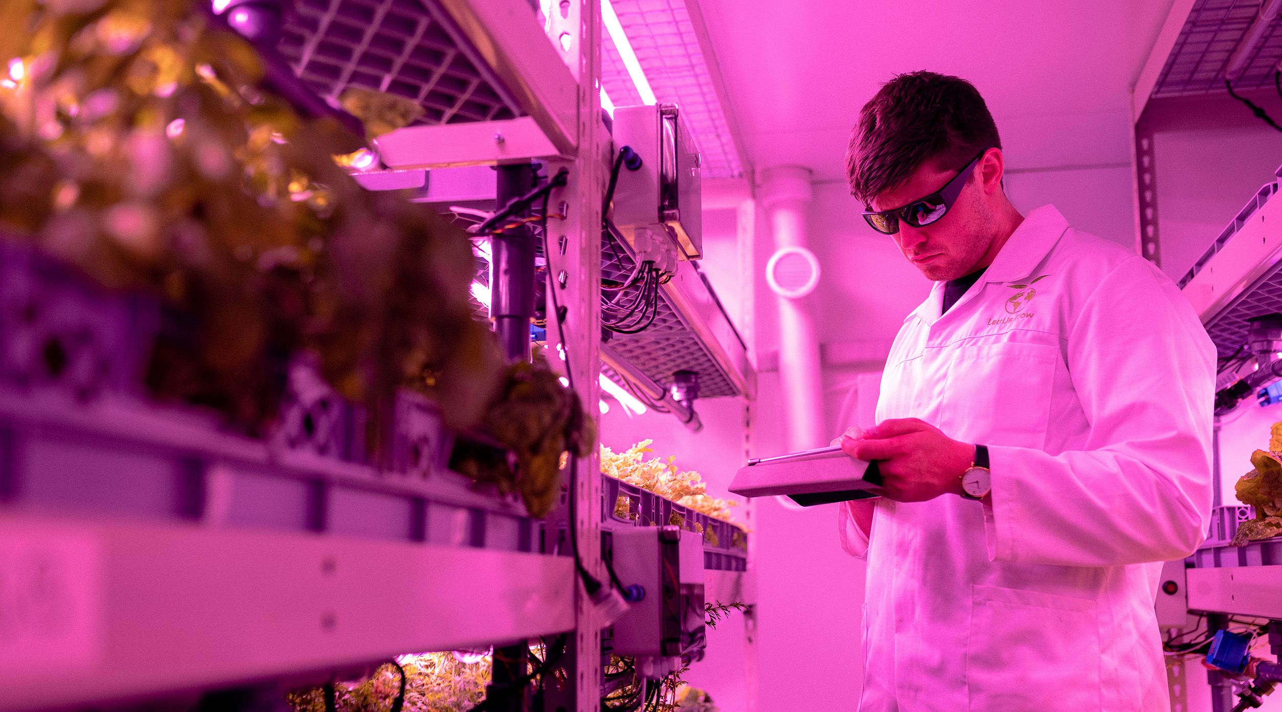 Building A Digital Twin Platform for Hydroponic Ecosystems.